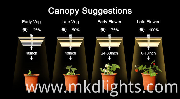 Heat Lamp For Plants